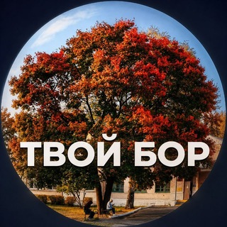 Telegram profile photo for Твой Бор | tvoy-bor.ru