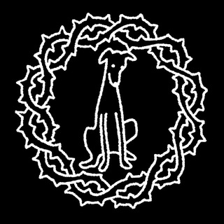 Telegram profile photo for BORZOSHKA