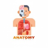 Telegram profile photo for Anatomy