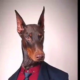 Telegram profile photo for Random post