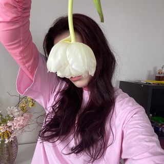 Telegram profile photo for mermlin