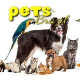 Telegram profile photo for 🐶Ⓟⓔⓣⓢ Ⓑⓡⓐⓩⓘⓛ😻