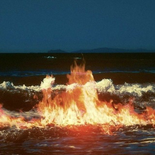 Telegram profile photo for Bonfire
