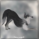 Telegram profile photo for хвост пистолетом🐺