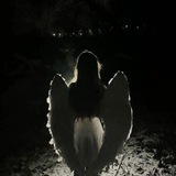 Telegram profile photo for LEGION ИНЗЕНТИУМ