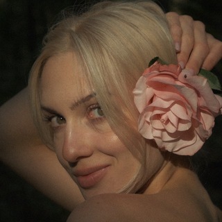 Telegram profile photo for le rossignol