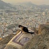 Telegram profile photo for Allah is our refuge