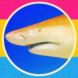 Telegram profile photo for My place!!