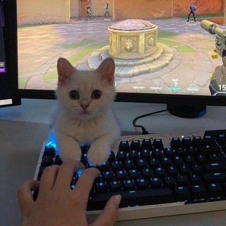 Telegram profile photo for Gc dealing