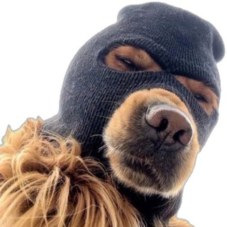Telegram profile photo for crypto-免費加密合約信號