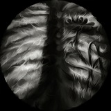 Telegram profile photo for Flower in My Lung