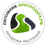 Telegram profile photo for Питомник растений, товары, услуги 🌱 Ландшафтные истории