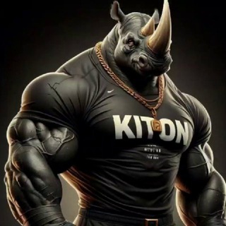 Telegram profile photo for KITON