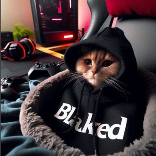 Telegram profile photo for 1Blakred