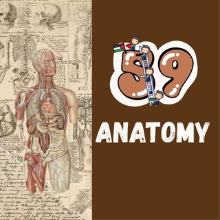 Telegram profile photo for Anatomy || πππ ππ¨πππ¨π«π¬ 59