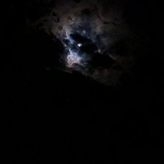 Telegram profile photo for تصوير : مفرغه