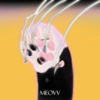 Telegram profile photo for MEOVV BRAZIL | Chuuur