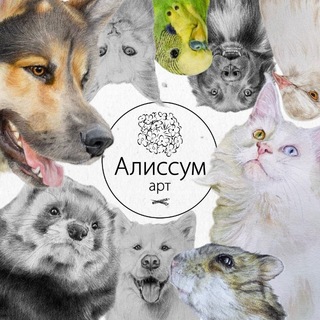 Telegram profile photo for Алиссум арт