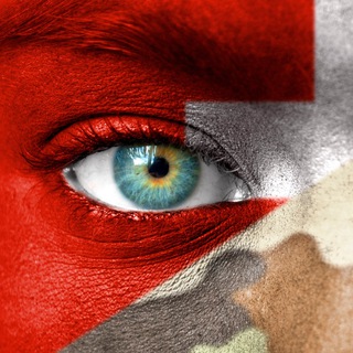 Telegram profile photo for Swiss Army on Telegram by GRT: Schweizer Armee / Armée suisse / Esercito svizzero / Swiss Armed Forces / Polizei / Luftwaffe