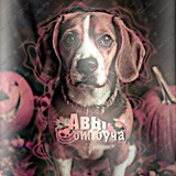 Telegram profile photo for Авы от Буча!🎃