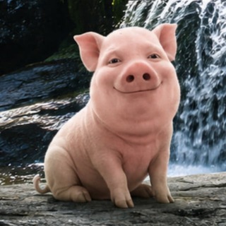 Telegram profile photo for депрешн 5.3.0