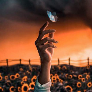 Telegram profile photo for دنیای رمان های ممنوعه