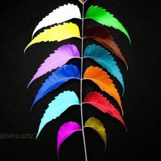 Telegram profile photo for شعر سوداني
