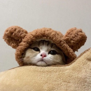 Telegram profile photo for милый гороскоп