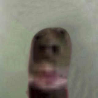 Telegram profile photo for ачё)