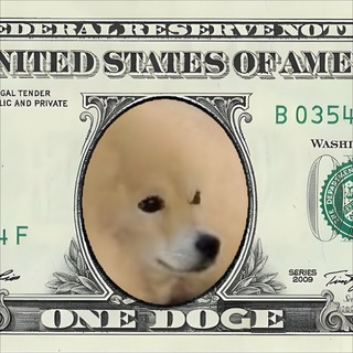 Telegram profile photo for DOGE ONE DOLLAR