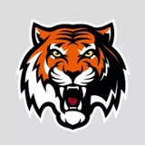 Telegram profile photo for hc_amur_uhl