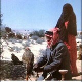 Telegram profile photo for البّخت