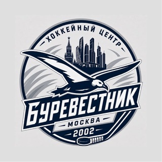 Telegram profile photo for Хоккейный Центр «Буревестник» Москва