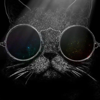 Telegram profile photo for HikQRCamChiNhanVien