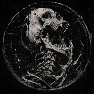Telegram profile photo for NO.XIII