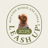 Telegram profile photo for Leash Up!