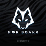 Telegram profile photo for 🐺МФК ВОЛКИ🐺