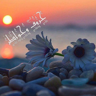 Telegram profile photo for حـروف وخـواطر 💕🦋
