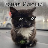 Telegram profile photo for my life, пон да?