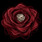 Telegram profile photo for 🧶 Распутываем нити Эфимерки