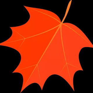 Telegram group profile photo for 挂档不低头