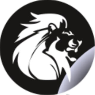 Telegram group profile photo for Silver Lion ( COMMUNITY GROUP )