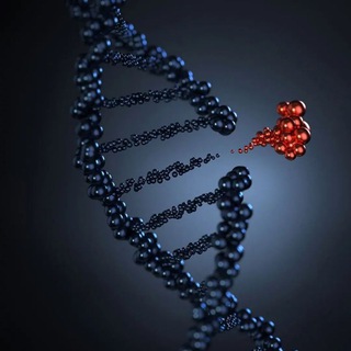 Telegram profile photo for دهم مدیکال | Medical 10
