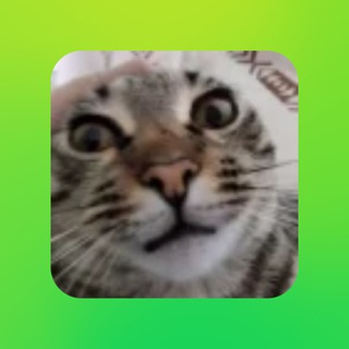 Telegram profile photo for к