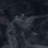 Telegram profile photo for . . @ #𝟭