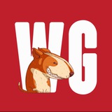 Telegram profile photo for WILD GAMES ESP