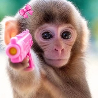 Telegram profile photo for катямару