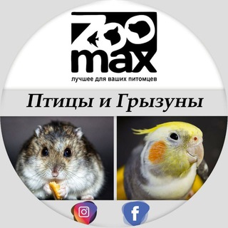Telegram profile photo for ZooMax - Птицы и Грызуны