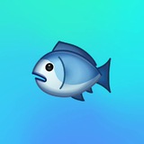 Telegram profile photo for Репутация рыбы