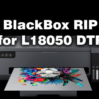 Telegram profile photo for DTF BlackBox RIP